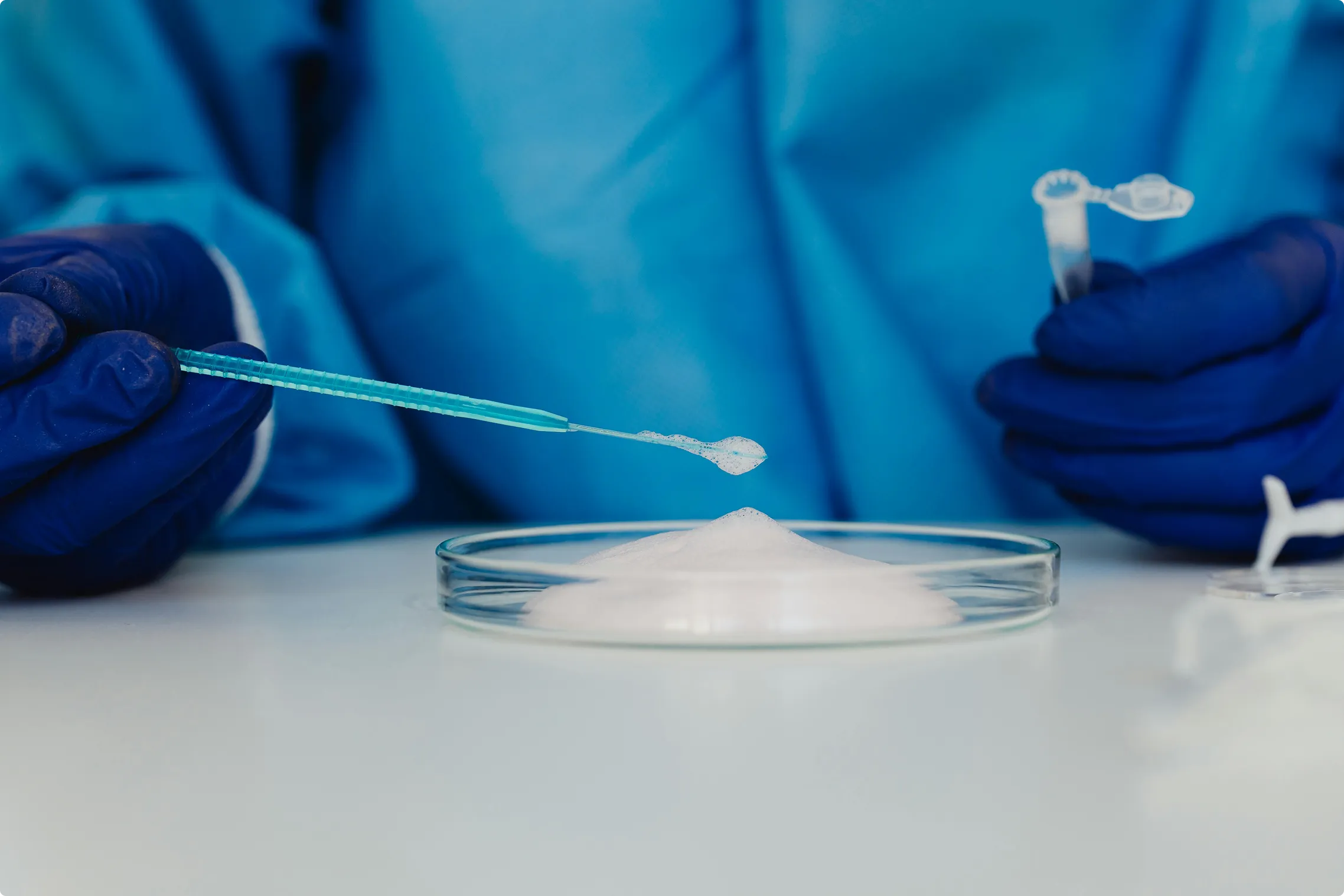 Lab sample being pipetted into a petri dish