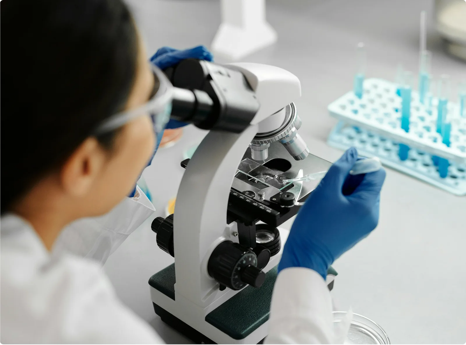 Laboratorio-Orlando-Markenwelt